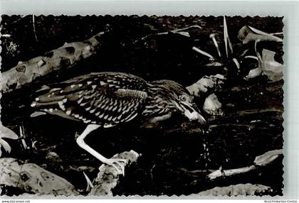 39836377 - Bad Buchau