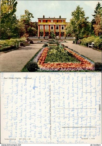 Ansichtskarte Bad Düben Moorbad 1964