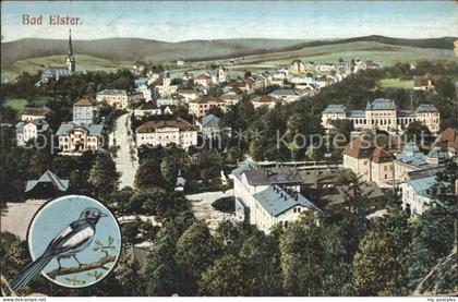 Bad Elster Stadtansicht Elster