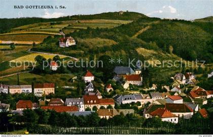 Bad Gottleuba-Berggiesshuebel Panorama