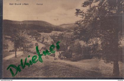 Bad Grund im Harz, Keistal, um 1924