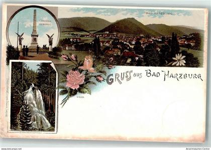 13917565 - Bad Harzburg