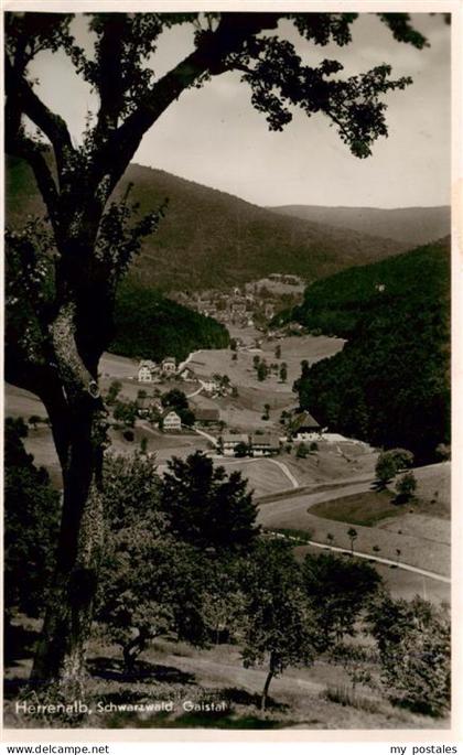 Herrenalb Bad Herrenalb Gaistal