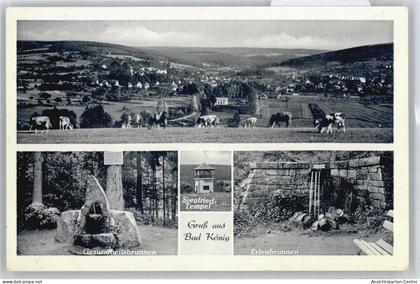 50400055 - Bad Koenig