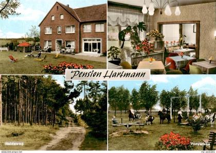 Hardensetten Bad Laer Pension Hartmann Heideweg Ponyreiten