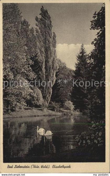 42488090 Bad Liebenstein Elisabethpark Bad Liebenstein
