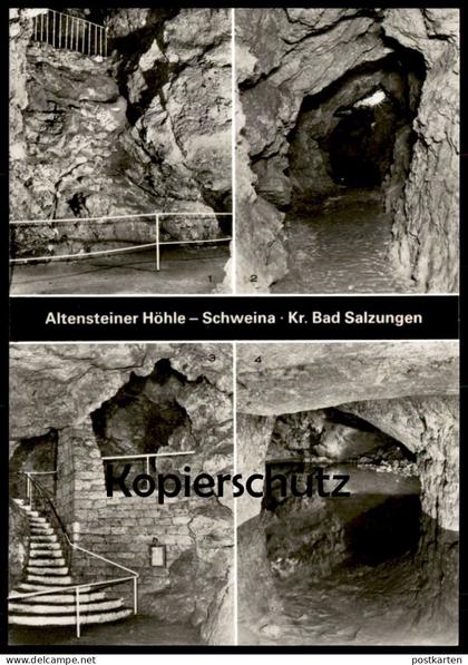 ÄLTERE POSTKARTE ALTENSTEINER HÖHLE SCHWEINA KREIS SALZUNGEN BAD LIEBENSTEIN Thüringen Grotte cave AK cpa postcard