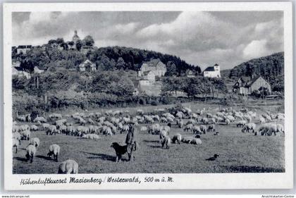51064645 - Bad Marienberg (Westerwald)