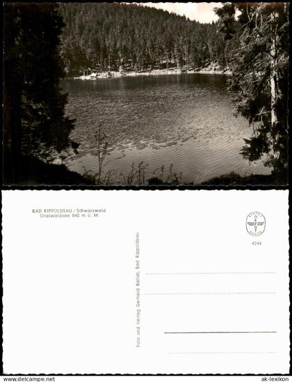 Ansichtskarte Bad Rippoldsau-Bad Rippoldsau-Schapbach Glaswaldsee 1955