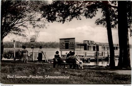 Bad Saarow-Pieskow, Schwanenwiese