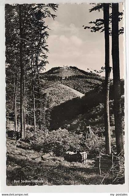 Bad Sachsa Harz Bad Sachsa