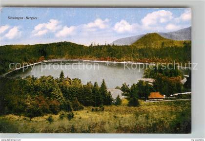 Bad Saeckingen Bergsee