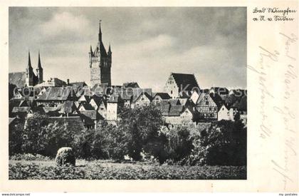 Bad Wimpfen Panorama