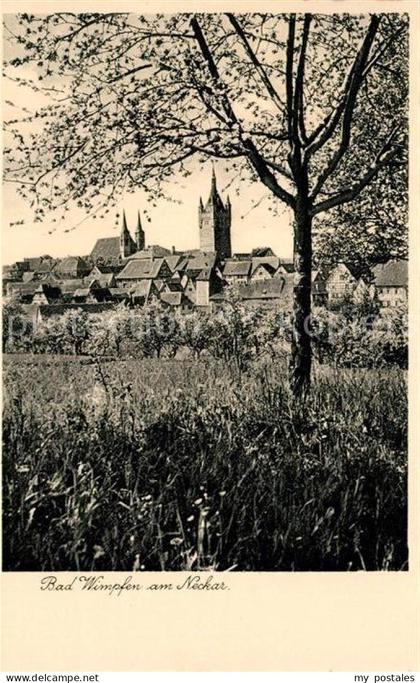 Bad Wimpfen Teilansicht