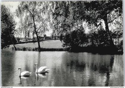 50395759 - Bad Woerishofen