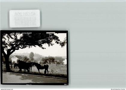 40081206 - Wuennenberg