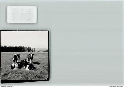 40081249 - Wuennenberg