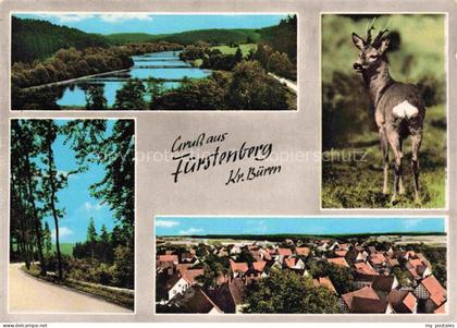 Fuerstenberg Bad Wuennenberg Bueren Westfalen NRW Panorama Strasse Hirsch Ortsan