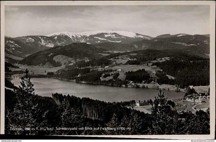 20003988 - Titisee-Neustadt