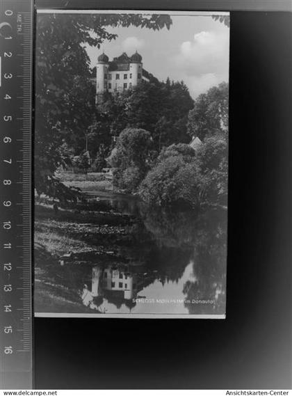 30010483 - Muehlheim an der Donau