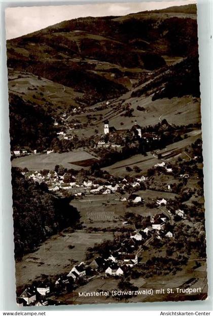 39390830 - Muenstertal , Schwarzwald