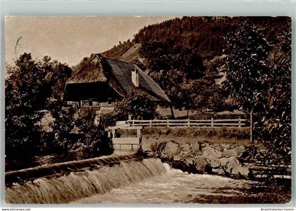 39658469 - Gutach Schwarzwaldbahn