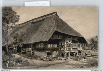 50397019 - Gutach Schwarzwaldbahn