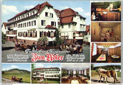 51488606 - Waldbrunn , Odenw