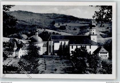 51764989 - Muenstertal , Schwarzwald