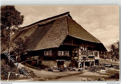 52255280 - Gutach Schwarzwaldbahn