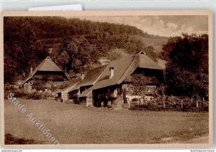 52255288 - Gutach Schwarzwaldbahn