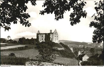 Burkheim Kaiserstuhl Schlossruine