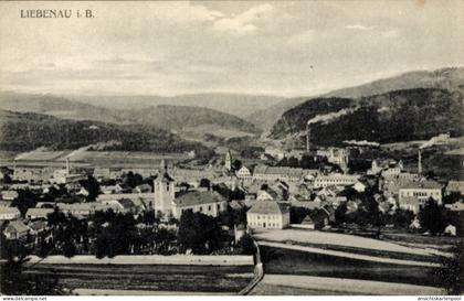 CPA Liebenau (Kreis Friedrichshafen) Meckenbeuren in Oberschwaben Württemberg, Gesamtansicht