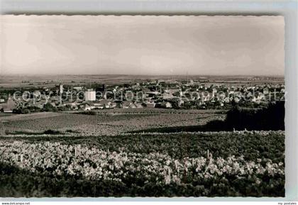 Gruenstadt Panorama