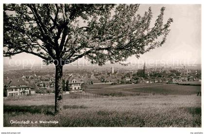Gruenstadt Panorama