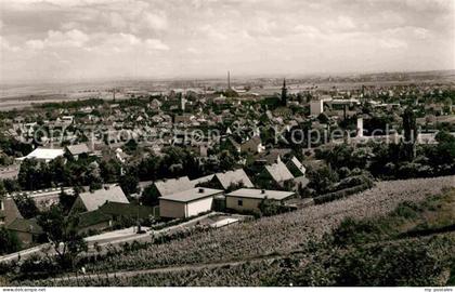 Gruenstadt Panorama