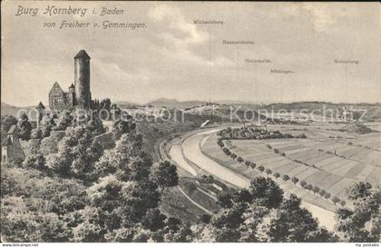 Hornberg Schwarzwald Burg Hornberg Panorama
