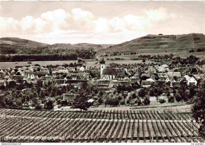 Jechtingen Sasbach am Kaiserstuhl BW Fliegeraufnahme