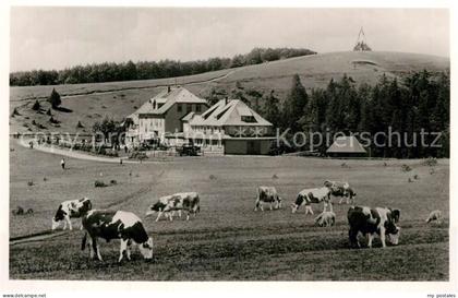 Kandel Breisgau Kandel Haus Kuhweide