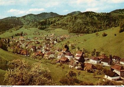 Muenstertal  Schwarzwald Panorama