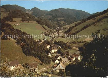 Muenstertal Schwarzwald Panorama