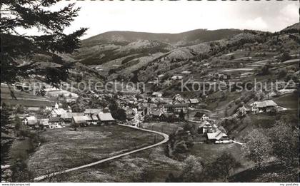 Wies Wiesental