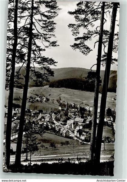 39966591 - Baiersbronn