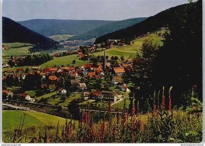 50404991 - Baiersbronn