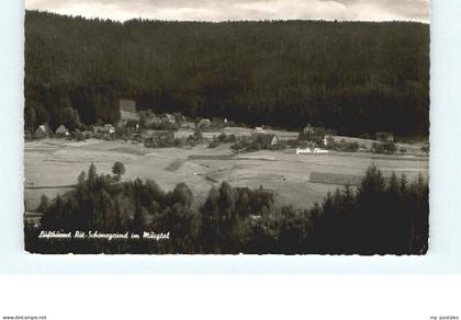 Baiersbronn Schwarzwald Baiersbronn Schoenegruend
