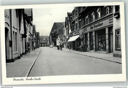 13265228 - Bramsche , Hase