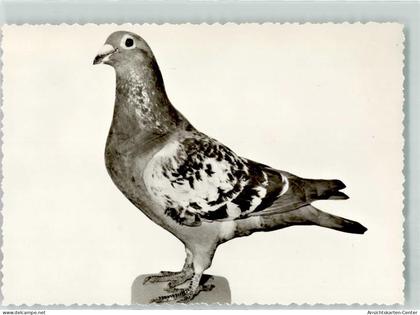 13912162 - Varel , Jadebusen