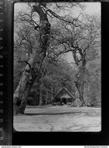 30041667 - Varel , Jadebusen