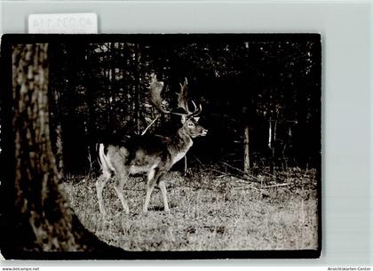 40031114 - Springe , Deister