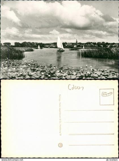 Ansichtskarte Bad Bederkesa Stadt Seerosen Segelboote 1961